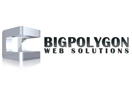 Business Intelligence Group 'BIG' sarl
